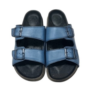 Echelon Aerolux (Blue)